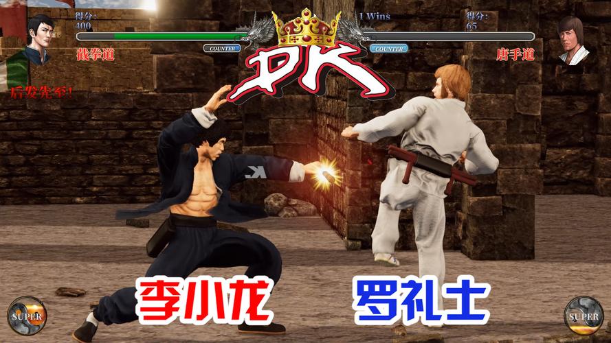 日本剑术vs截拳道具视频的相关图片